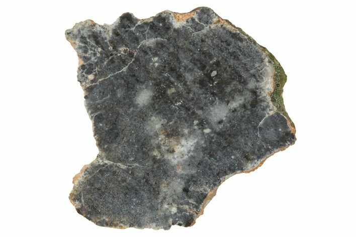 Lunar Meteorite ( g) Slice - Bechar #348214
